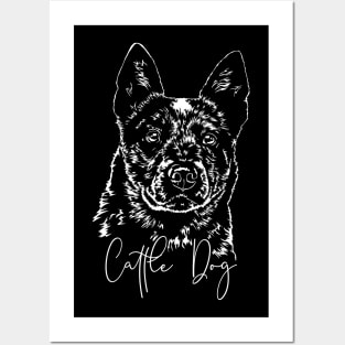 Funny Cattle Dog lover dog portrait Posters and Art